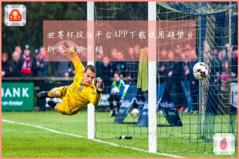 世界杯投注平台APP下载使用趋势分析及功能介绍