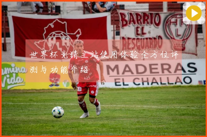 世界杯竞猜主站使用体验全方位评测与功能介绍