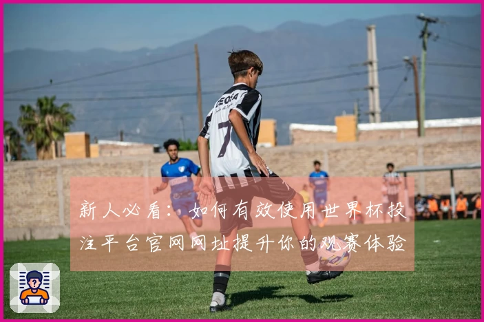 新人必看：如何有效使用世界杯投注平台官网网址提升你的观赛体验
