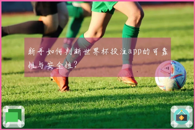 新手如何判断世界杯投注app的可靠性与安全性?