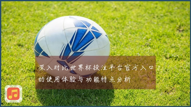 深入对比世界杯投注平台官方入口的使用体验与功能特点分析