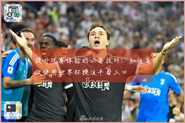 提升观赛体验的必备技巧：如何高效使用世界杯投注平台入口
