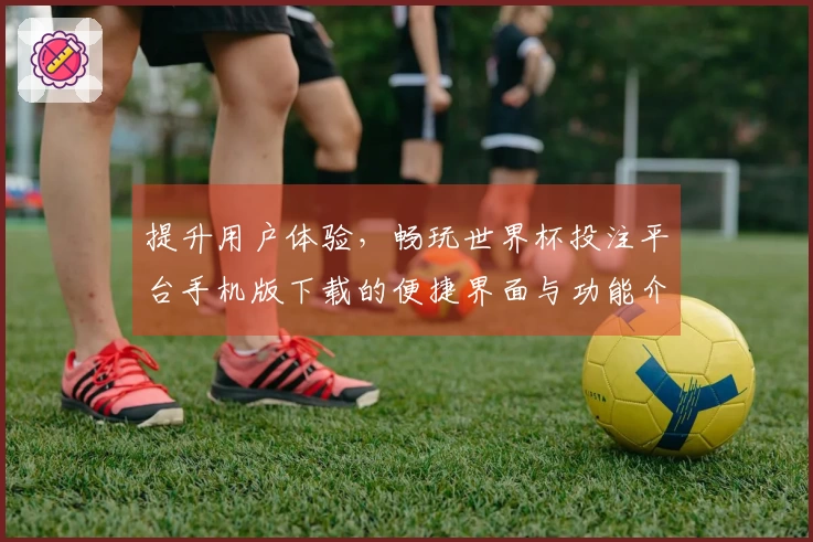 提升用户体验,畅玩世界杯投注平台手机版下载的便捷界面与功能介绍