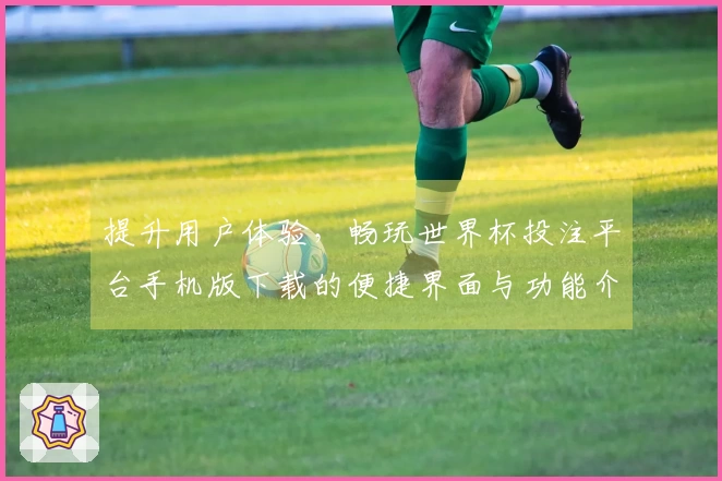 提升用户体验，畅玩世界杯投注平台手机版下载的便捷界面与功能介绍