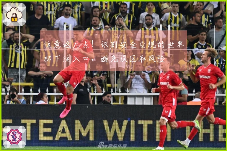 注意这几点!识别安全合规的世界杯下注入口,避免误区和风险