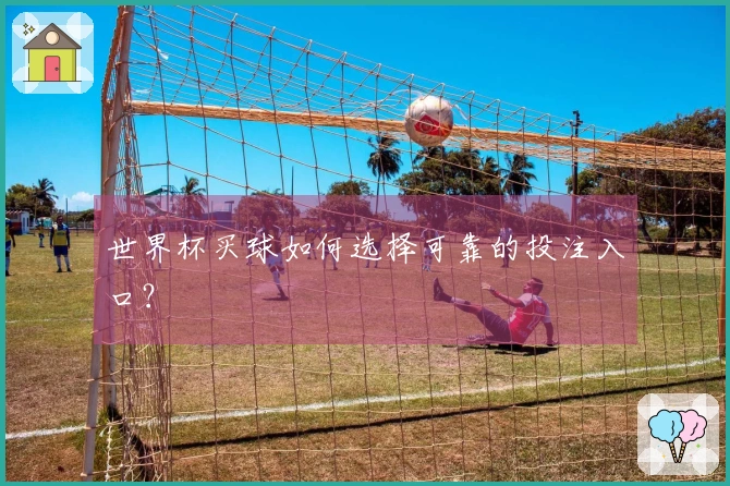 世界杯买球如何选择可靠的投注入口？