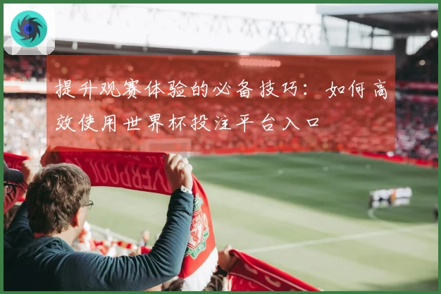 提升观赛体验的必备技巧：如何高效使用世界杯投注平台入口