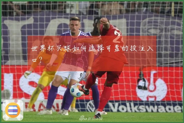 世界杯买球如何选择可靠的投注入口？