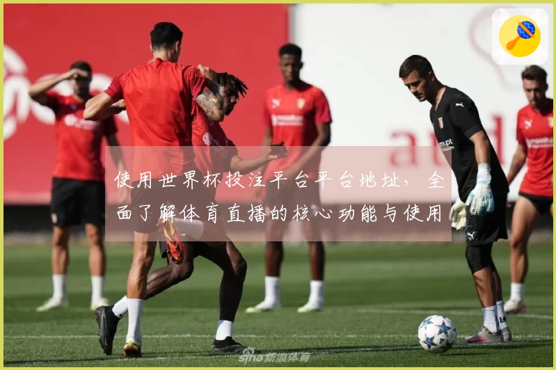使用世界杯投注平台平台地址，全面了解体育直播的核心功能与使用体验