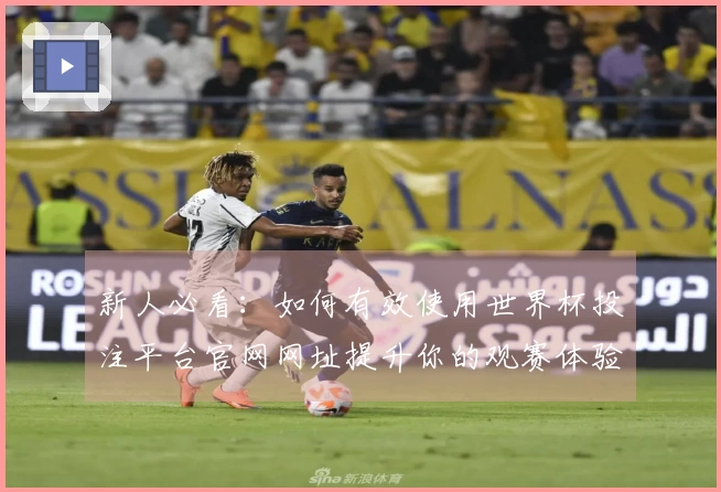 新人必看:如何有效使用世界杯投注平台官网网址提升你的观赛体验