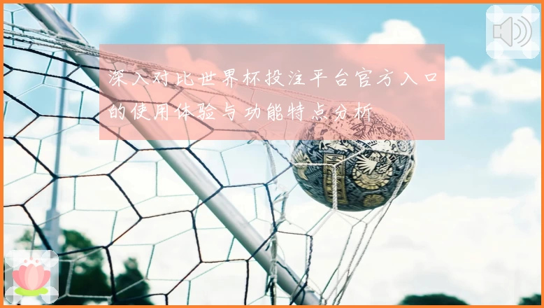 深入对比世界杯投注平台官方入口的使用体验与功能特点分析